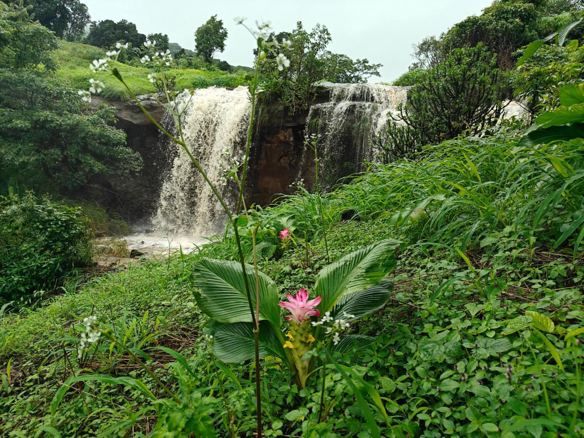 Shinde'S Tikona Valley Farm Villa Pune Luaran gambar